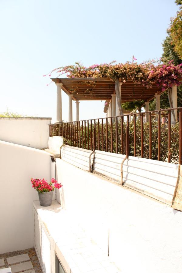Apartament Miradouro'S Loft Setúbal Zewnętrze zdjęcie